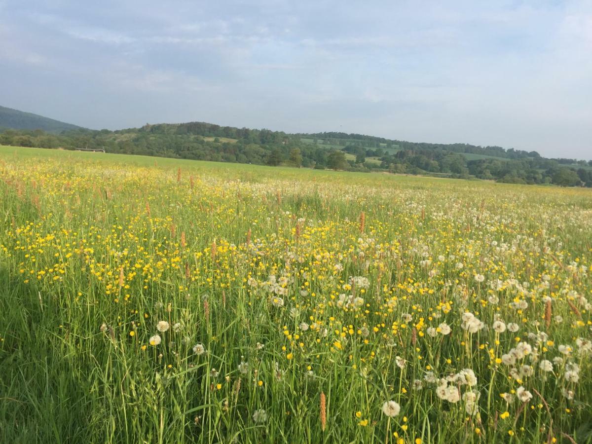 Fewo Haus Emma Og Loehnberg ภายนอก รูปภาพ